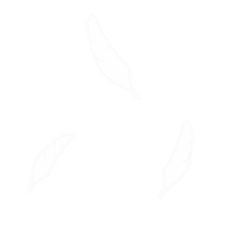 羽2