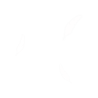羽3